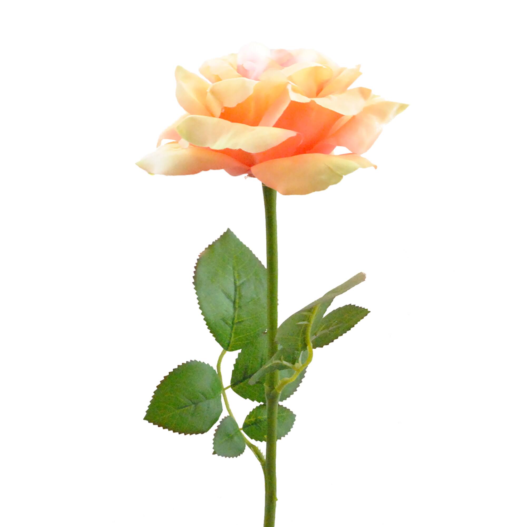 DII® Yellow Flower Open Rose Set, 6ct.